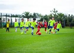 萊利直言不,讳再掀波澜,巴特勒耐心,世界杯预测,2026世界杯,赛事分析,球队表现,最新动态